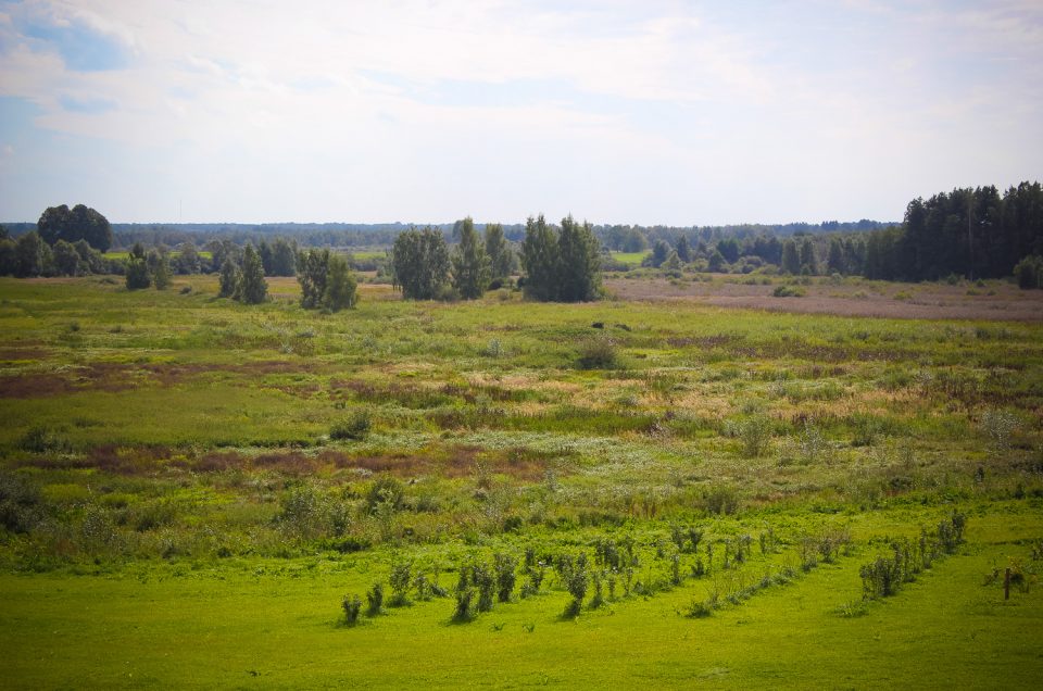 Bruknas Raganu kalniņš