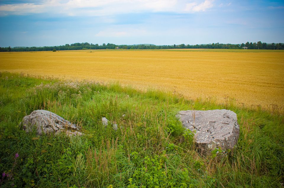 Bogmuižas Velna akmens