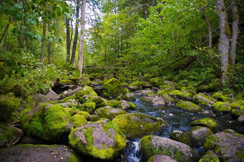 Nāružas Velna grāvis