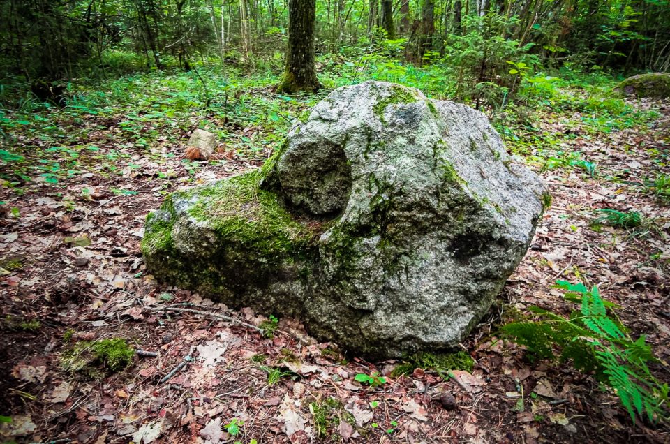 Vaidavas pilskalna bļodakmens