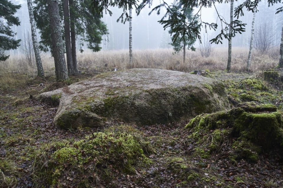 Gints Albužis. Slepkavkalva