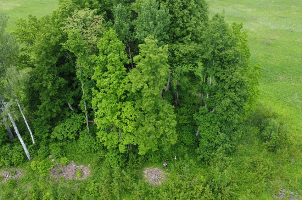 Gatis Kalniņš. Ģērķu Dieva (Upuru) kalns